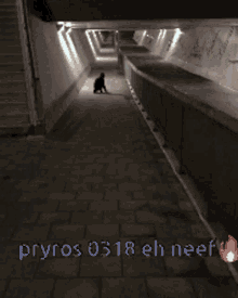 Pyros0318 Run GIF - Pyros0318 Run Fireworks GIFs