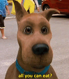 Scooby Doo Scooby GIF - Scooby Doo Scooby All You Can Eat GIFs