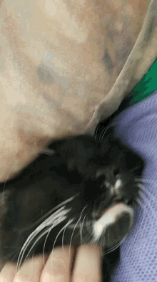 Scratchies GIF - Scratchies GIFs