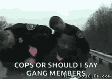 Arrested Drugs Search GIF