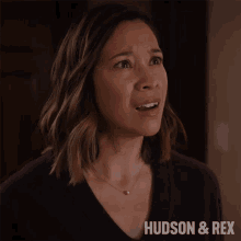 Shocked Sarah Truong GIF - Shocked Sarah Truong Hudson And Rex GIFs