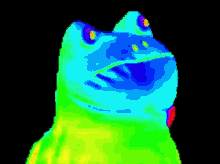 rainbow frog dance meme