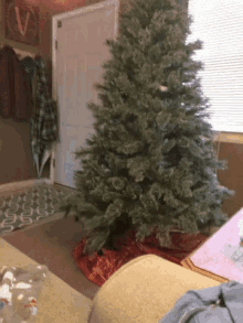 Cat Christmas Tree GIF