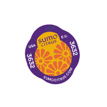 sumo cycle