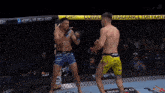 two men are fighting in a cage with a sign that says curve