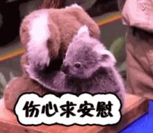 求安慰 GIF - Koala Hug GIFs