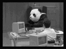 Angry Panda GIF - Angry Panda Office GIFs