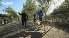 Welcome To Serengeti Cesar Millan GIF - Welcome To Serengeti Cesar Millan Cesar Millan Better Human Better Dog GIFs
