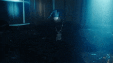 a person with blue hair is standing in a dark room with a blue light behind them .