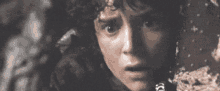 Frodo No GIF - Frodo No Lotr GIFs