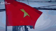 Vietnam Flag GIF - Vietnam Flag Waving GIFs
