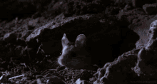 Tired Mouse GIF - Tired Mouse Peanut GIFs