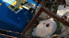 a blue bag that says outdoor sits next to a white stuffed animal