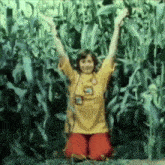 a girl in a yellow shirt with the letter s on it is kneeling in a corn field with her arms in the air