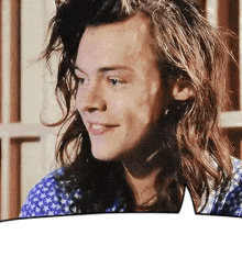 a close up of a man 's face with long hair