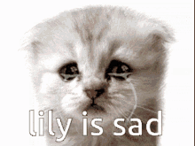 Sad Lily GIF - Sad Lily Lily Is Sad GIFs