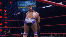 Ethan Page Ring Of Honor GIF - Ethan Page Ring Of Honor GIFs