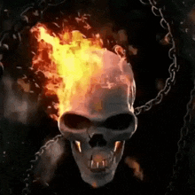 Hell Fire GIF - Hell Fire Skull GIFs