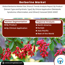 Berberine Market GIF - Berberine Market GIFs