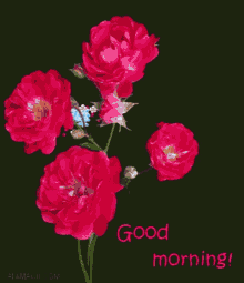 good morning flowers blossom rose