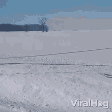 Skiing Viralhog GIF