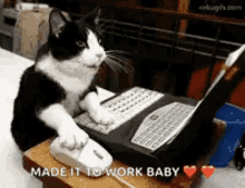 Made It To Work Baby Kitty GIF - Made It To Work Baby Kitty Kitten GIFs