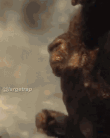 King Kong Godzilla GIF - King Kong Godzilla Monki Flip GIFs