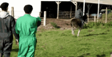 a man riding a donkey in a field with two men in green overalls