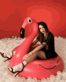 Pose Pink Flamingo GIF
