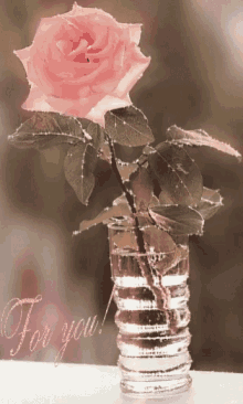 Flowers Rose GIF - Flowers Rose Water GIFs