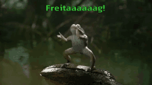 Freitaaaaaag GIF - Freitag Frosch Froh GIFs