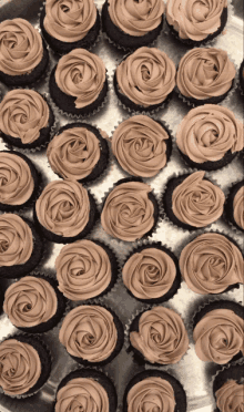 Cupcakes Choco Morsels GIF