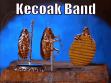 Kecoak GIF - Cockroach Band Playing GIFs