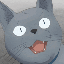 Cat Shocked GIF - Cat Shocked Scared GIFs