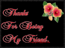 Enjoy Your Weekend Thanks For Being My Friend GIF - Enjoy Your Weekend Thanks For Being My Friend GIFs