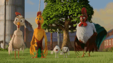 Chickens Shocked GIF - Chickens Shocked Shook GIFs