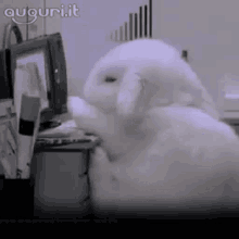 Buon Lavoro Coniglietto GIF - Buon Lavoro Non Esagerare Ufficio GIFs