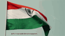 National Flag GIF - National Flag GIFs