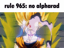 Rule 965 Goku GIF - Rule 965 965 Rule GIFs
