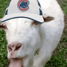 chicago cubs billy goat go cubs go fly the w