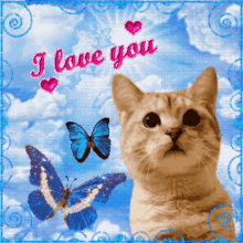 I Love You Cat GIF
