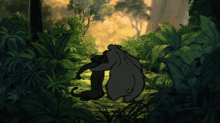 The Jungle Book Disney GIF - The Jungle Book Disney Balloo GIFs