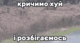 a meme in a foreign language with a picture of a river and trees