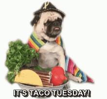 Taco Tuesday Its Taco Tuesday GIF - Taco Tuesday Its Taco Tuesday Iknow GIFs