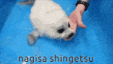 Nagisa Shingetsu GIF - Nagisa Shingetsu GIFs