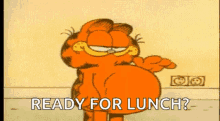 Garfield Belly GIF
