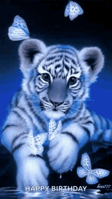 Tiger Cute GIF - Tiger Cute Butterfly GIFs
