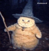 a cat is wearing a wizard hat and holding a wand