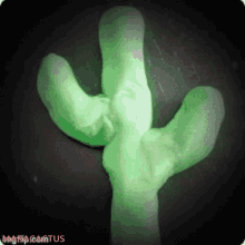 Mara Cactus Cactus GIF - Mara Cactus Cactus Love GIFs