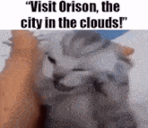 a person is petting a cat with the words `` visit orison , the city in the clouds '' .